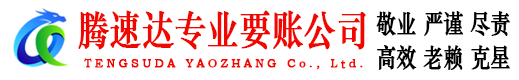 南京清债公司